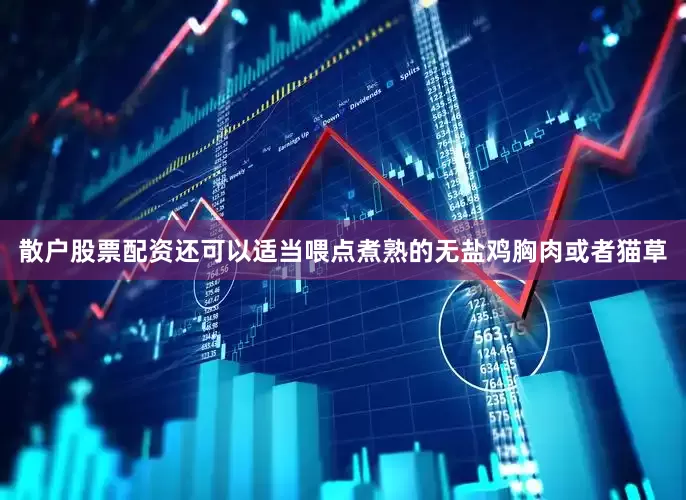 散户股票配资还可以适当喂点煮熟的无盐鸡胸肉或者猫草
