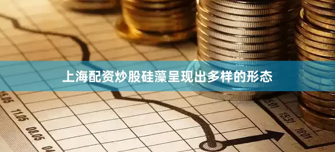 上海配资炒股硅藻呈现出多样的形态