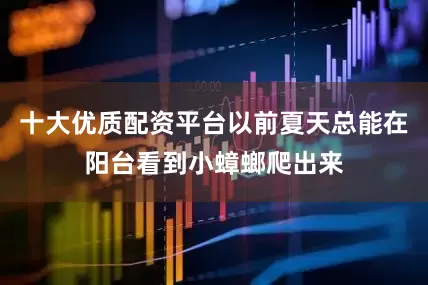 十大优质配资平台以前夏天总能在阳台看到小蟑螂爬出来